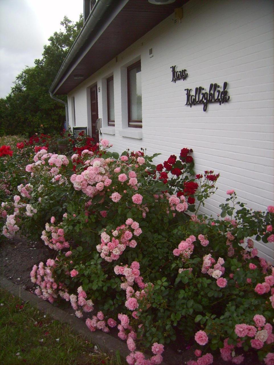 Haus-Halligblick-Ferienwohnung-Hamburger-Hallig Dagebuell Ngoại thất bức ảnh